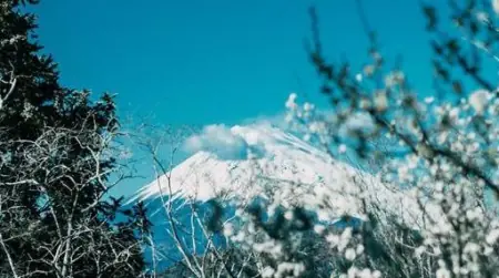 《灌篮高手》首推之地！日本之旅，踏上了流川枫的那片故土！(灌篮高手流川枫爆发哪一集)
